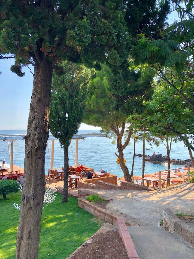 Queen Vasilika Hotel Dhermi Exterior photo